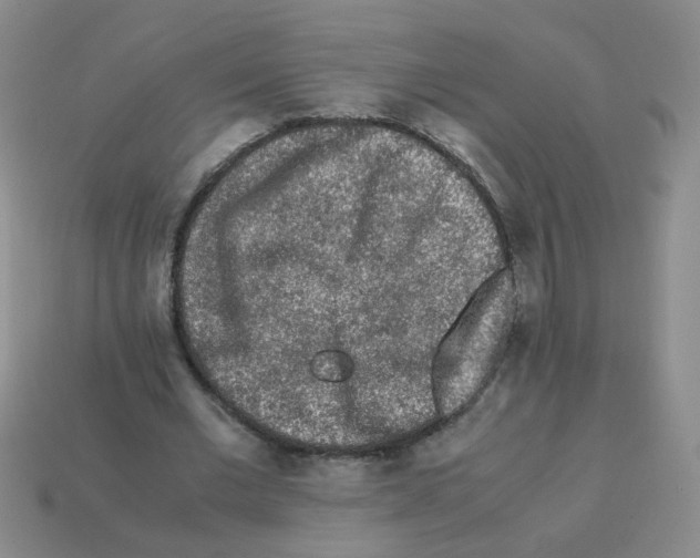 X0000113240677200910221101