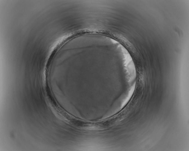X0000113240678200910221101