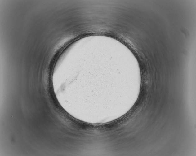 X0000113240679200910221101