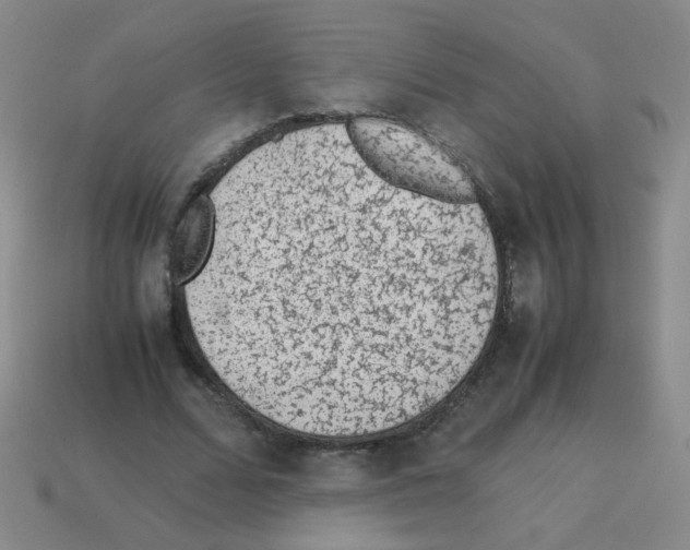 X0000113240680200910221101
