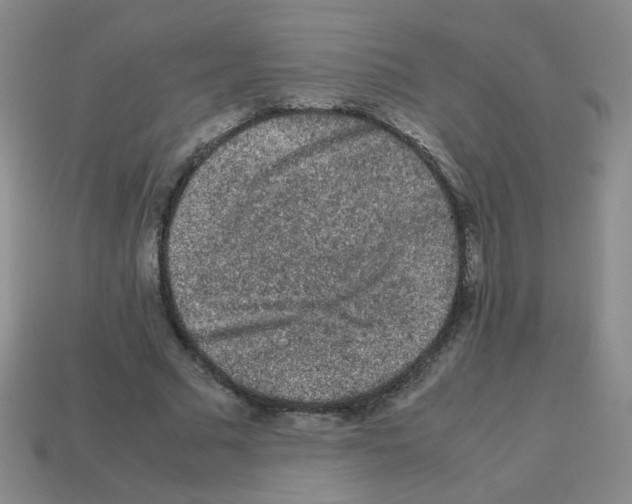 X0000113240681200910221101