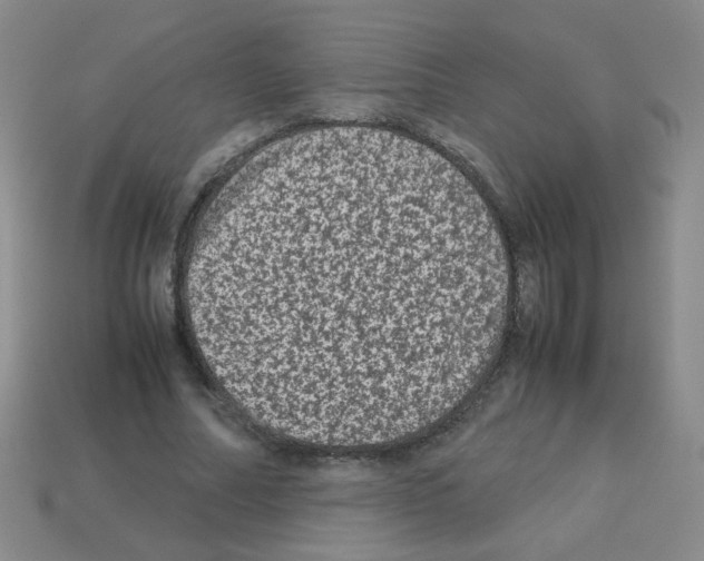 X0000113240682200910221101
