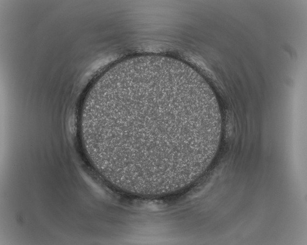 X0000113240683200910221101