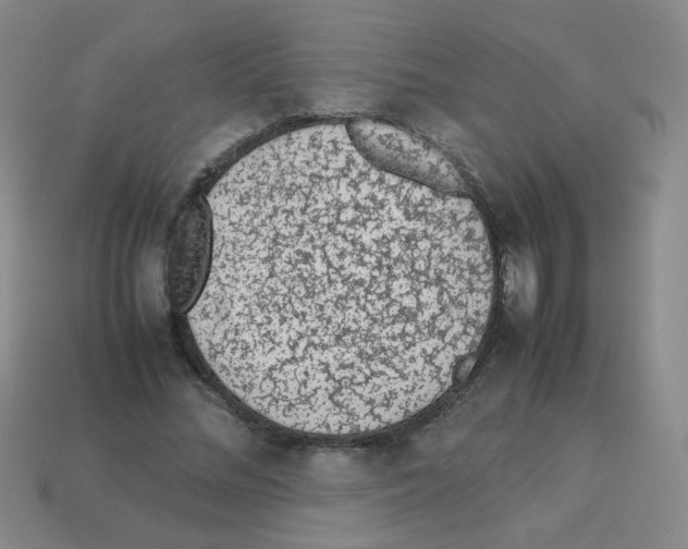 X0000113240684200910221101