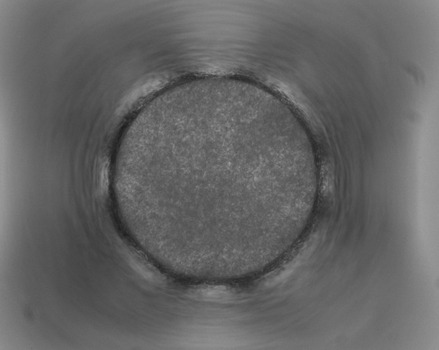 X0000113240685200910221101