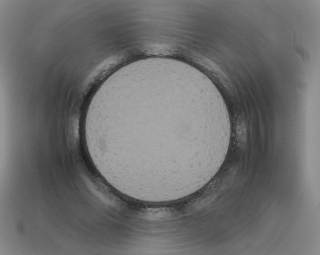 X0000113240686200910221101