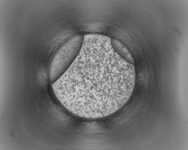 X0000113240688200910221101