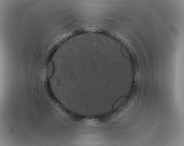 X0000113240689200910221101