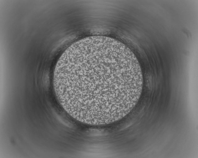 X0000113240690200910221101