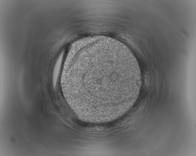 X0000113240691200910221101