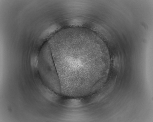 X0000113240692200910221101