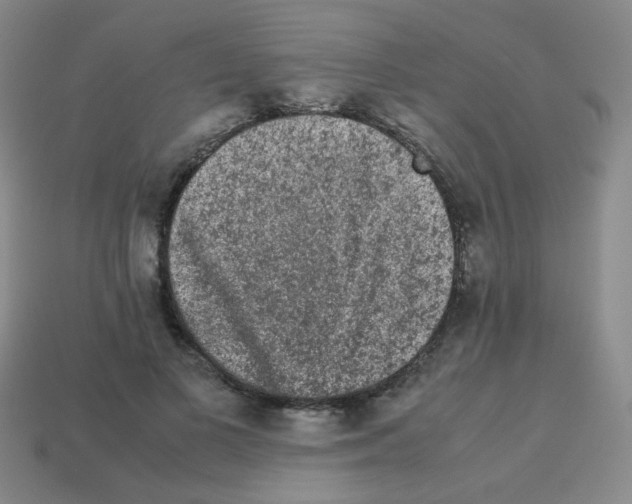 X0000113240693200910221101