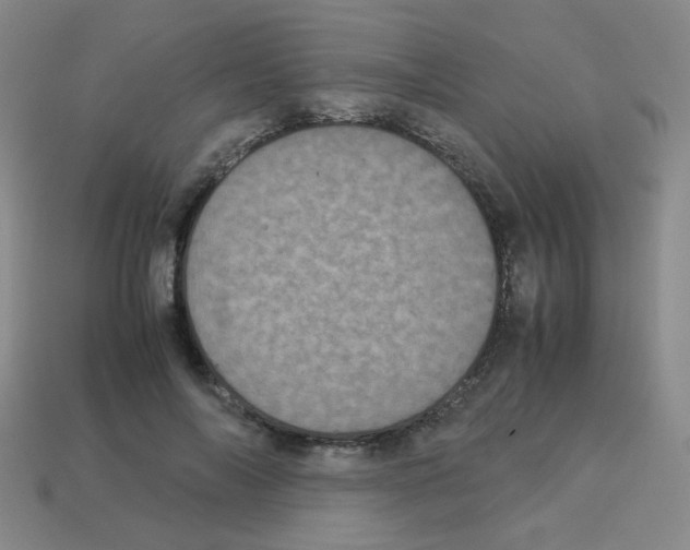 X0000113240694200910221101