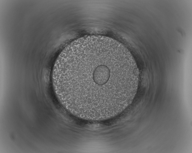 X0000113240695200910221101