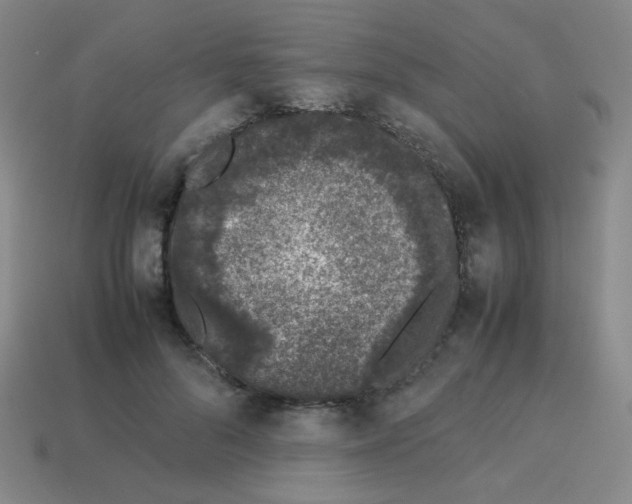 X0000113240696200910221101