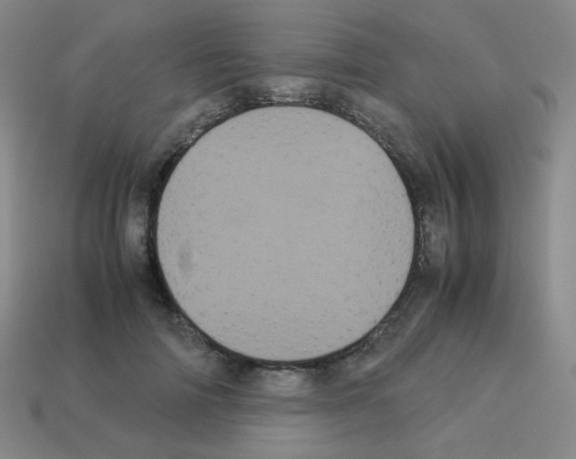 X0000113240698200910221101