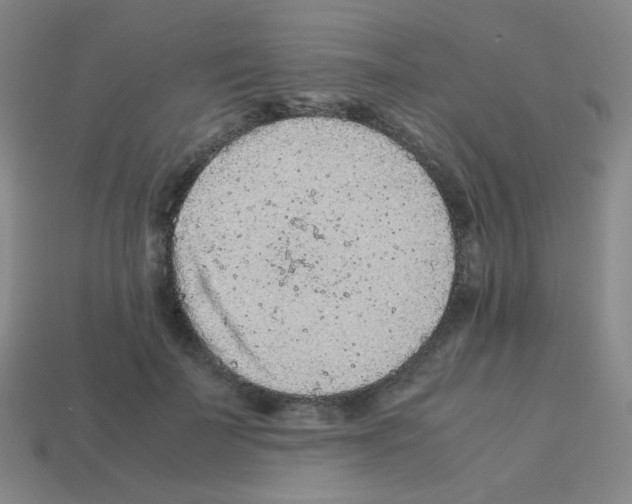 X0000113240699200910221101