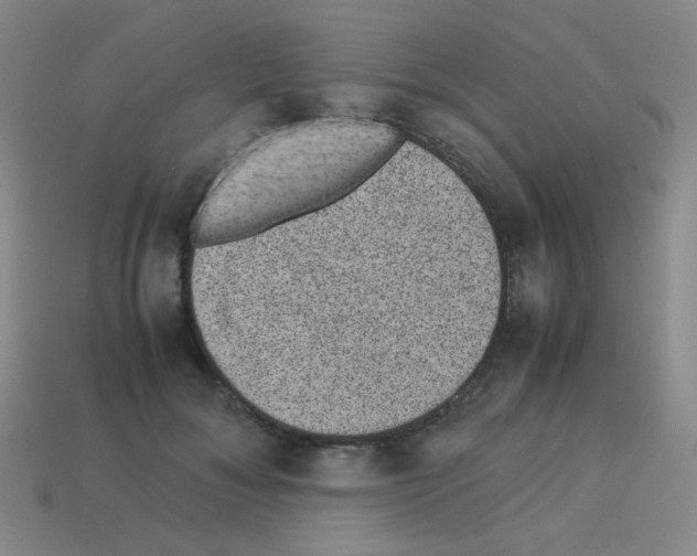X0000113240700200910221101