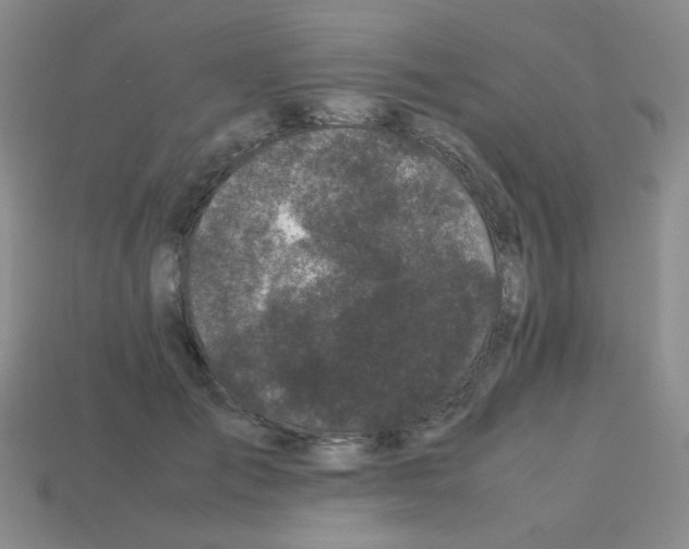 X0000113240701200910221101