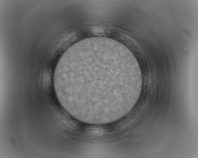 X0000113240702200910221101