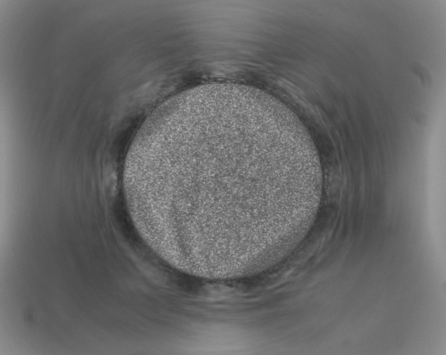 X0000113240703200910221101