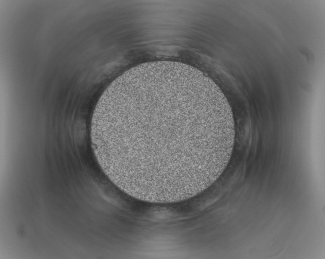 X0000113240704200910221101
