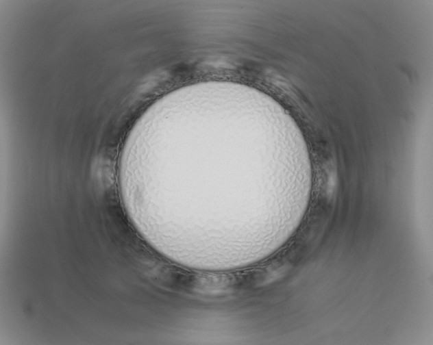 X0000113240705200910221101