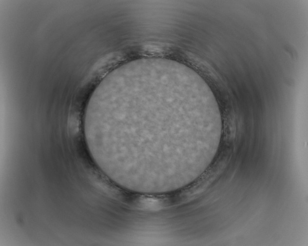 X0000113240706200910221101