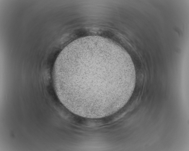 X0000113240707200910221101