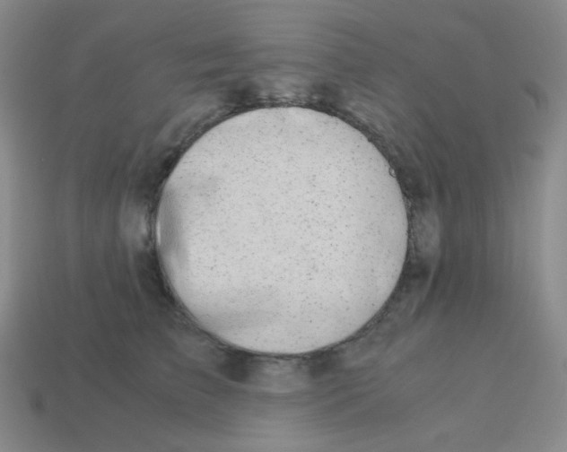 X0000113240709200910221101