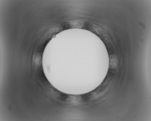 X0000113240713200910221100