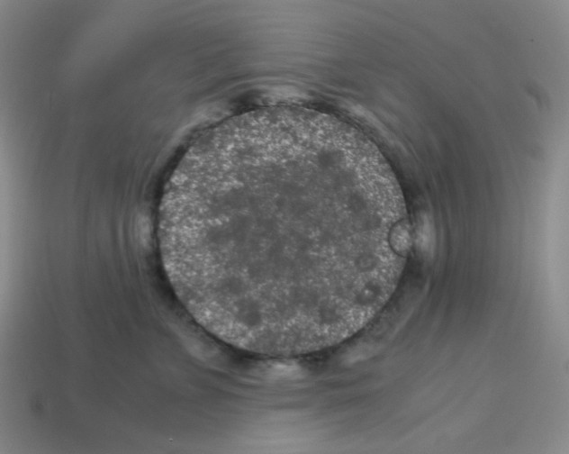 X0000113240715200910221100