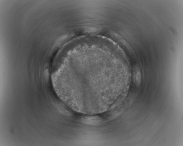 X0000113240716200910221100