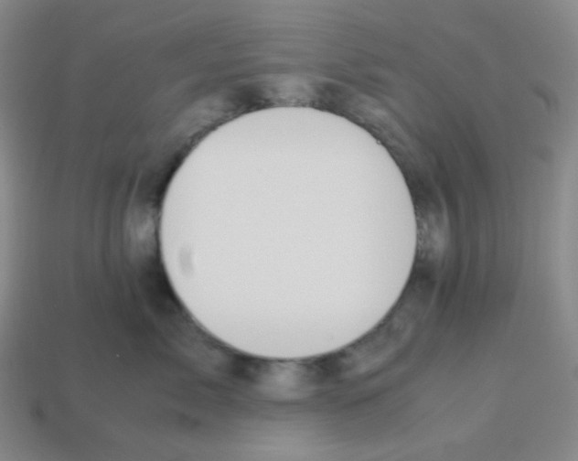 X0000113240717200910221100