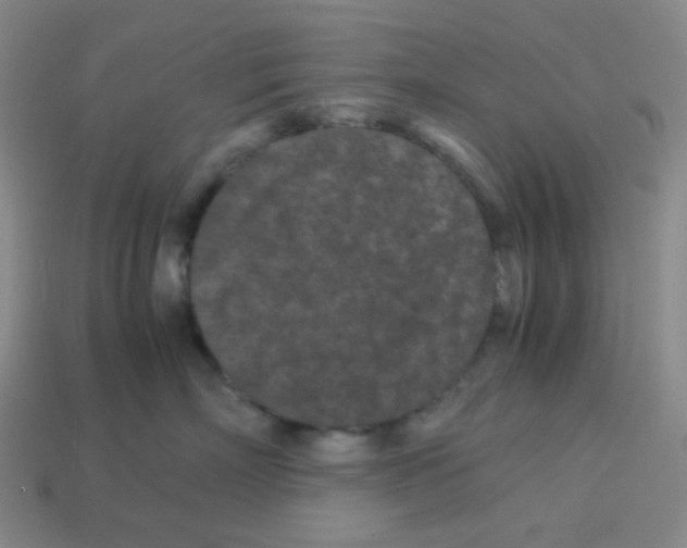 X0000113240718200910221100