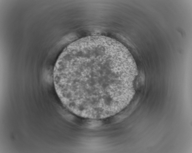 X0000113240719200910221100
