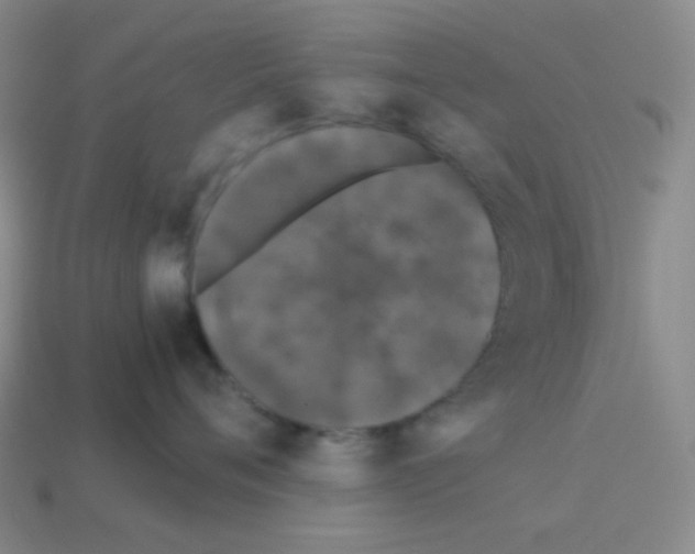 X0000113240720200910221100