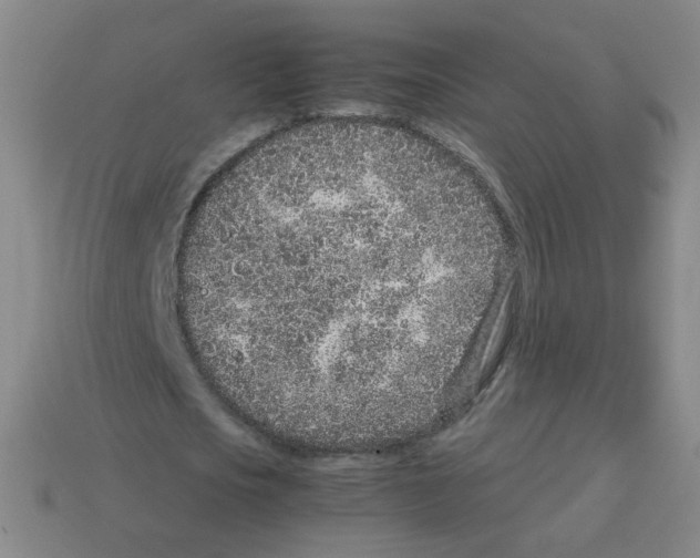X0000113240721200910221100