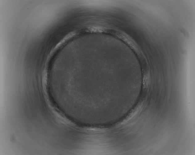 X0000113240722200910221100