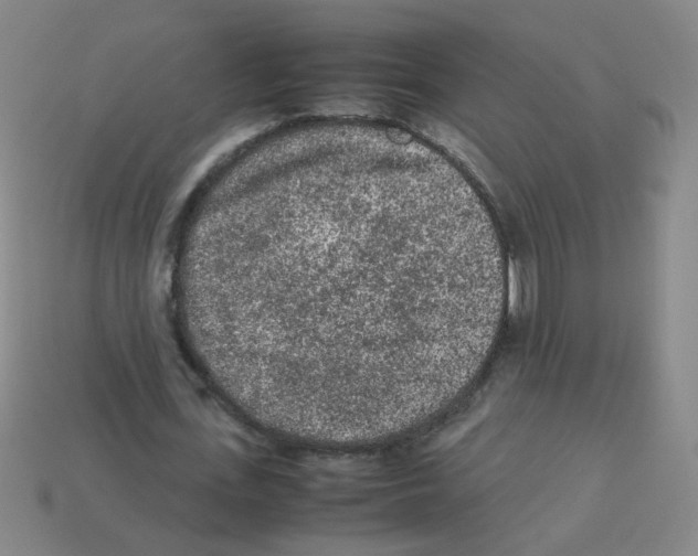 X0000113240723200910221100
