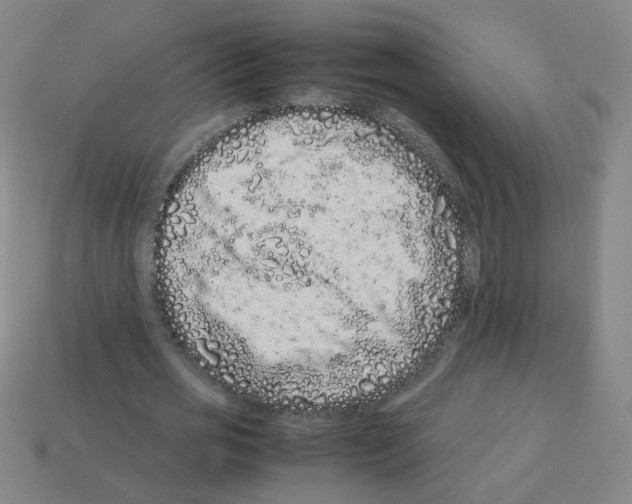 X0000113240725200910221100