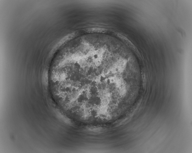 X0000113240729200910221100