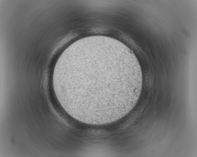 X0000113240730200910221100