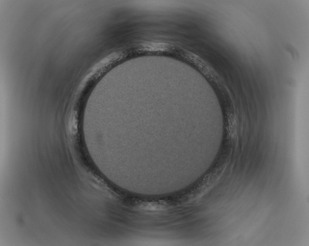 X0000113240731200910221100