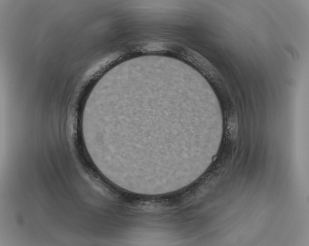 X0000113240732200910221100