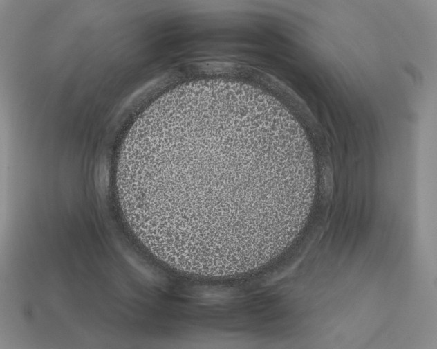 X0000113240733200910221100