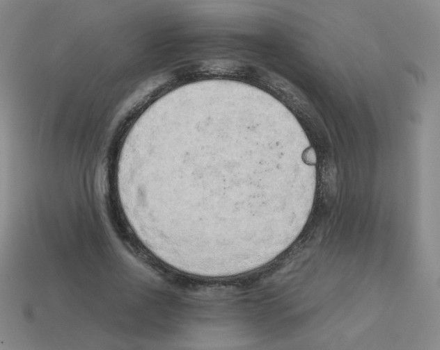 X0000113240734200910221100