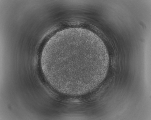 X0000113240735200910221100