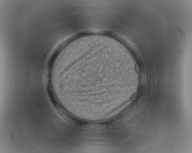 X0000113240736200910221100