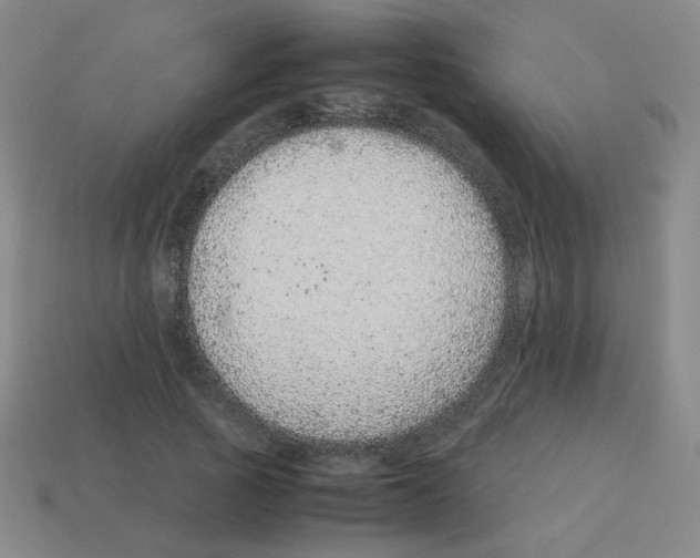 X0000113240737200910221100